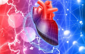 Jonathan Silva, ion channels, cardiac arrhythmias
